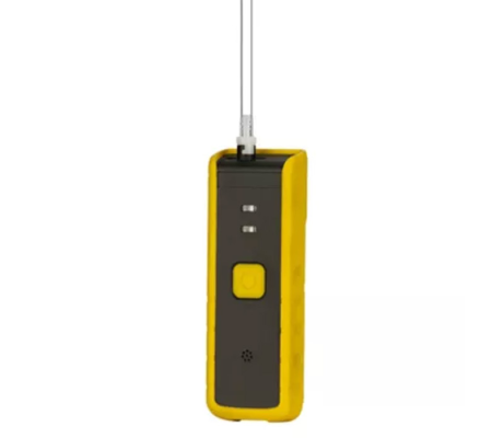 Honeywell BW Handheld Pump
