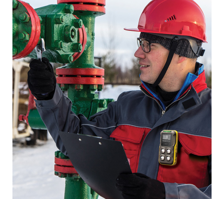 Honeywell BW Série Flex